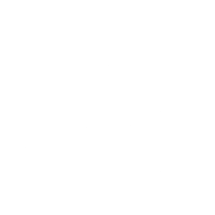 Raid Plaza logo
